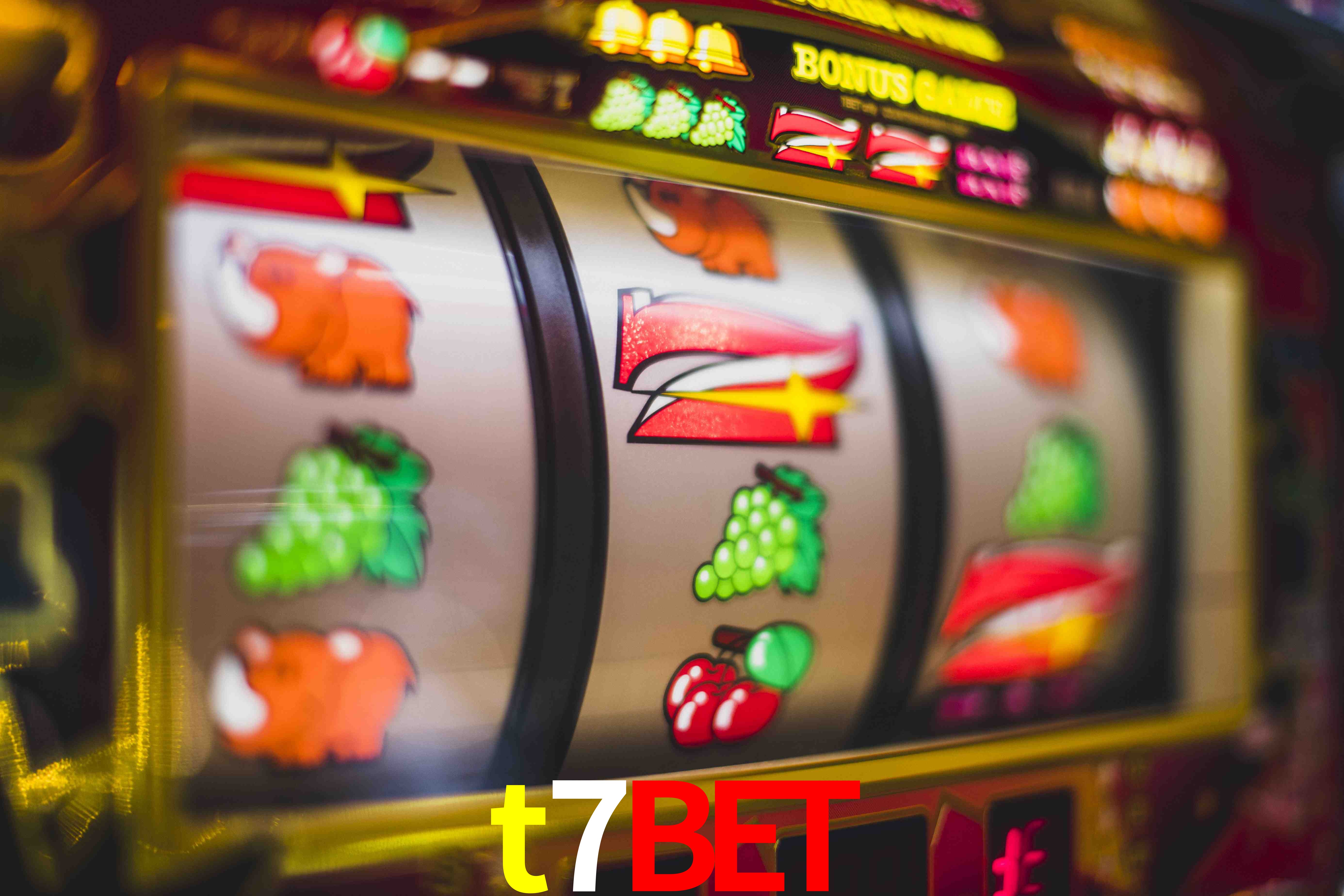 Basketball Betting t7bet